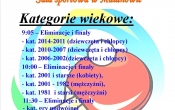 plakat XIX Mistrzostwa Gminy Malanow w Tenisie Stolowym ..