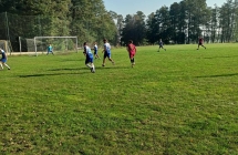 7904b963-2c29-466c-84b3-3225d222d7e1