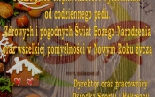 Publikacja1