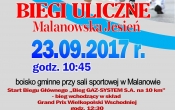 plakat BIEGI 2017 - Kopia