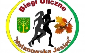 logo biegi